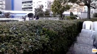 DJ NON后入骚母狗！
